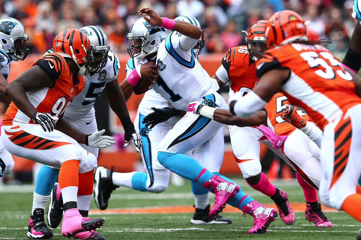 The Purr-Fect Storm: Panthers’ Prowl vs. Bengals’ Blitz – The Ultimate Feline Feud